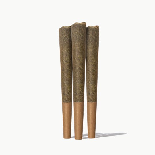 Fluent - Blue Note Pre Rolls - 1