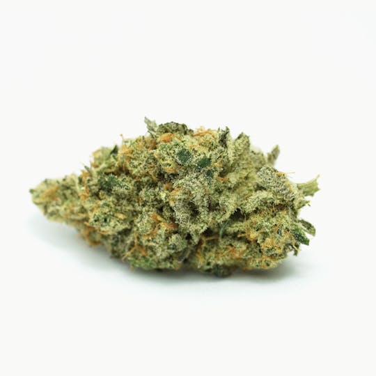 PONO LIFE MAUI - Candy Apple - 1