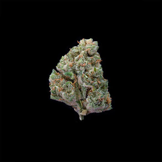 CommCan - Citral Glue - 1