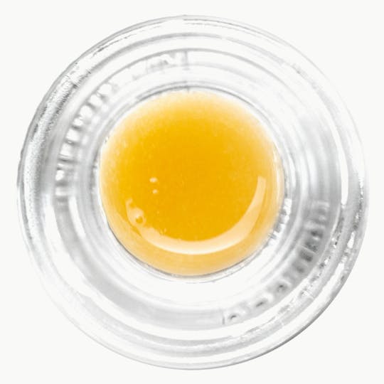 Kaizen Extracts - Kaizen | Blue Tangie Badder - 1