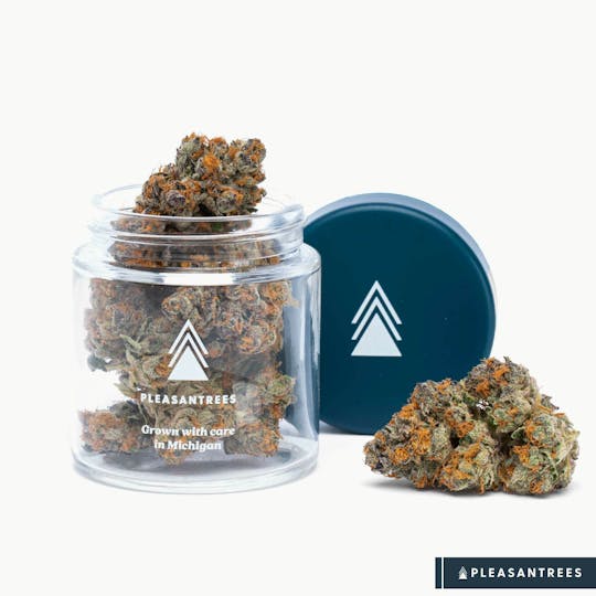 Pleasantrees - Bermuda Punch | 1/8th Ounce - 1