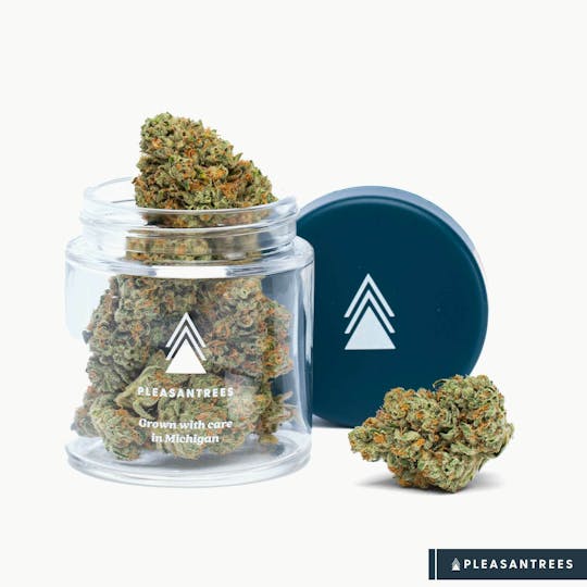 Pleasantrees - Jet Fuel OG | 1/8th Ounce - 1