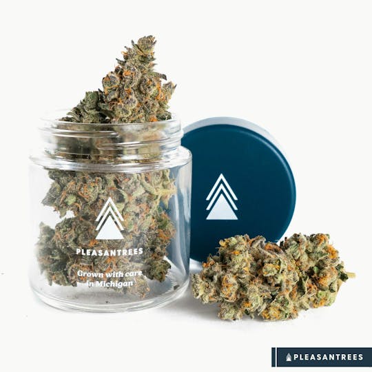 Pleasantrees - Twisted Fruit Cake | 1/8th Ounce - 1