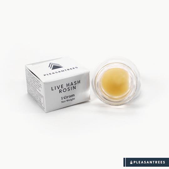 Pleasantrees - Live Hash Rosin | Garlic Sherbet | 1g - 1