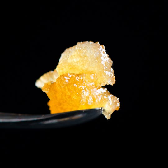 Brigid Farm - Banana Hammock - 1