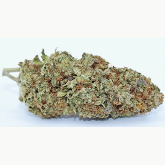 Elevation 207 - Zkittles - 1