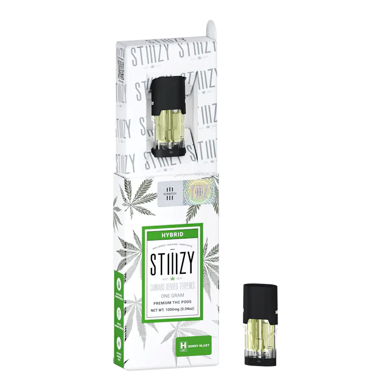 ridge - Berry Blast 1G Cdt Pod - Stiiizy