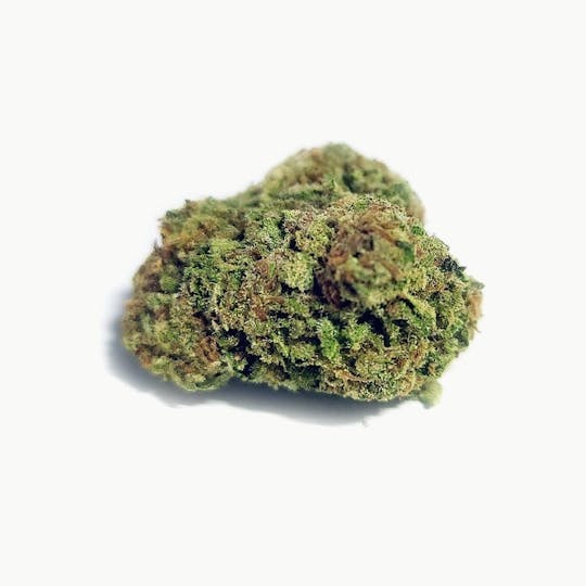 High Tide Organics - Cherry Punch | Greenhouse - 1