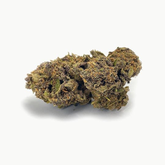 High Tide Organics - Forbidden Fruit | Greenhouse - 1