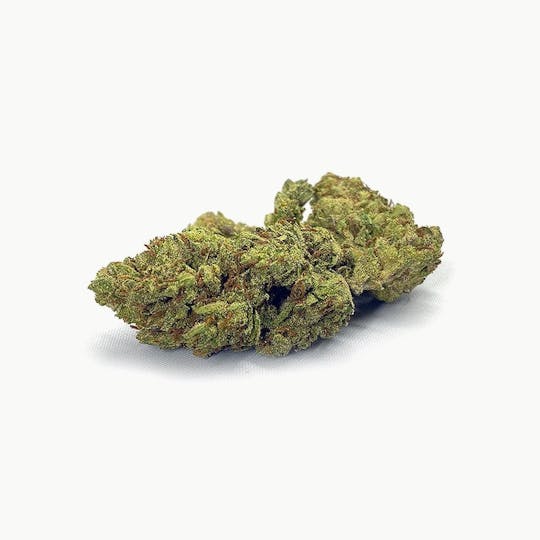 High Tide Organics - Grease Monkey | Greenhouse - 1