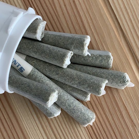 Pacific Reserve - Blue Gelato • 10-Pack - 1