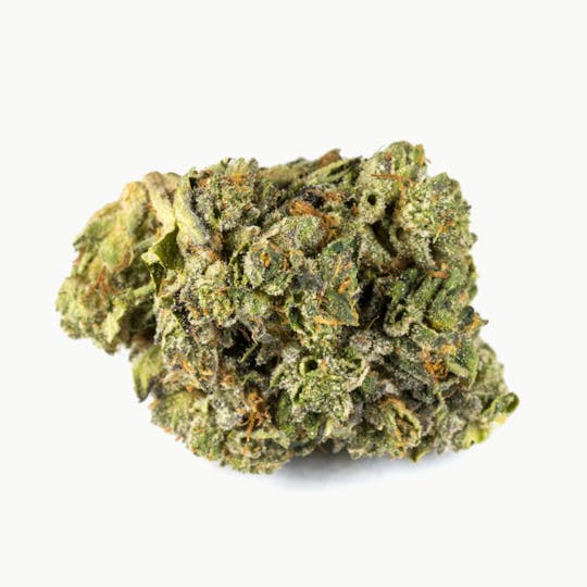 San Rafael '71 - Pink Kush - 1