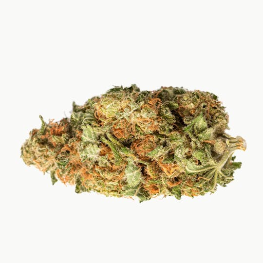 Sundial - Calm Strawberry Twist - 1