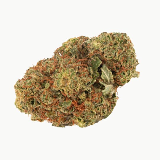 Daily Special - Daily Special Indica - 1