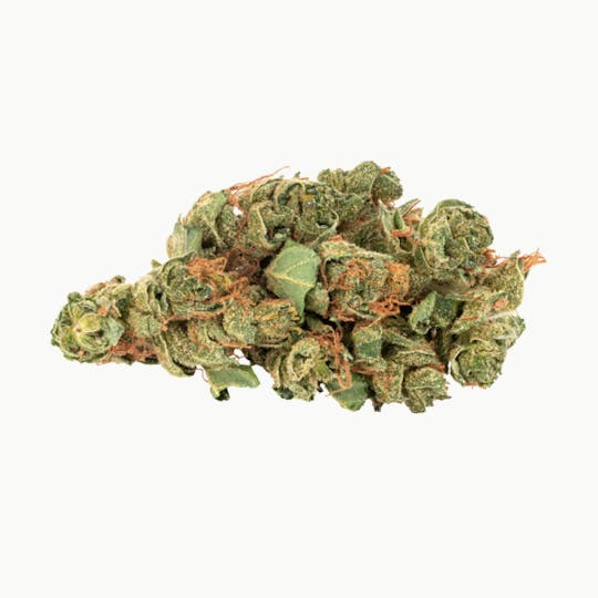 Daily Special - Daily Special Sativa - 1