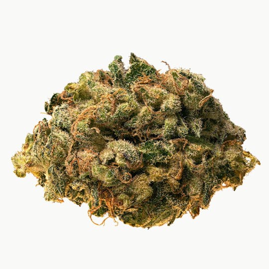Edison Cannabis Co - Samurai Spy - 1