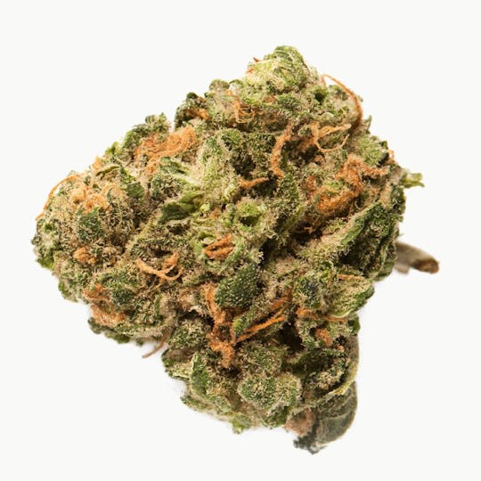 Grasslands - Hybrid - 1