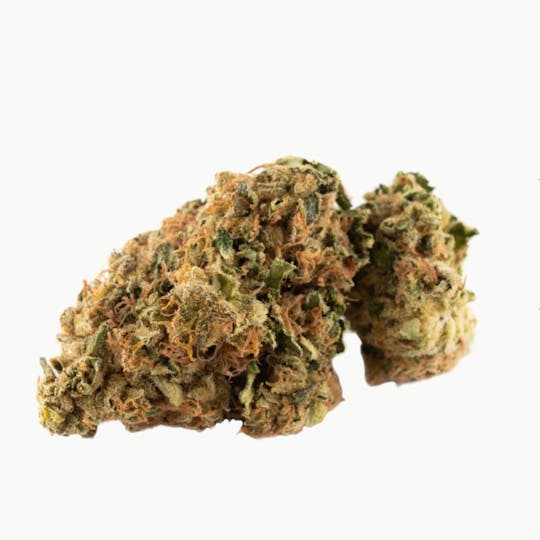 Fireside Cannabis - Sensi Star - 1