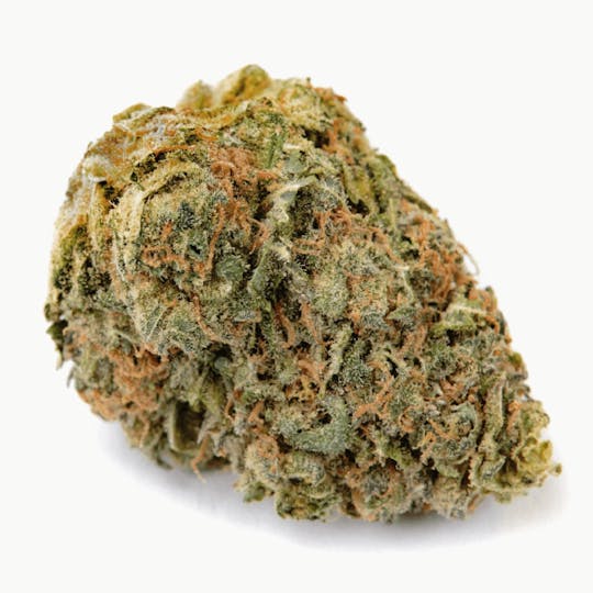 HAVEN St. Premium Cannabis - No. 402 Blueberry Kush - 1