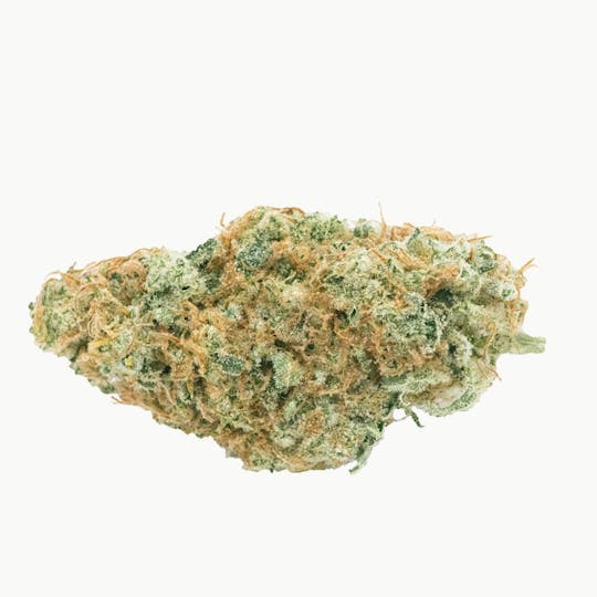 HAVEN St. Premium Cannabis - No. 516 Sonic Express - 1