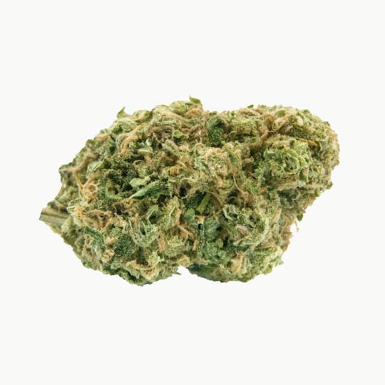 HAVEN St. Premium Cannabis - No. 515 Noisy Neighbour - 1