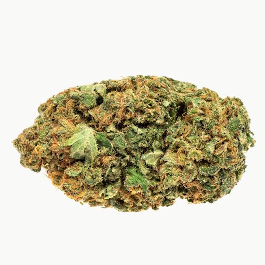 Solei - Free - 1