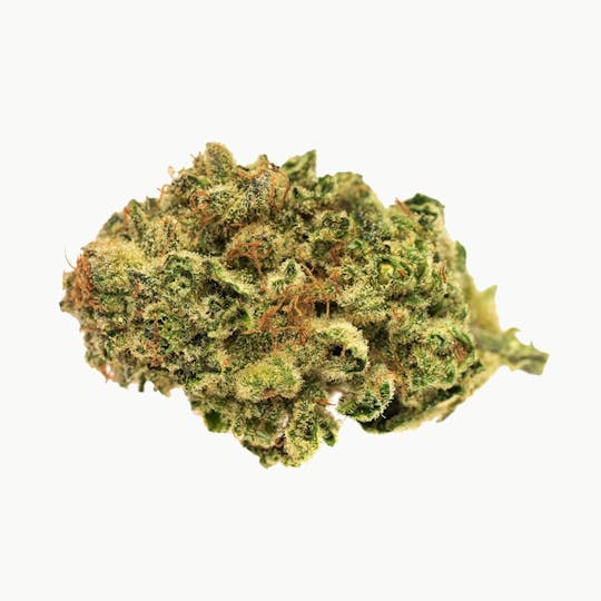Good Supply - Jack Herer - 1