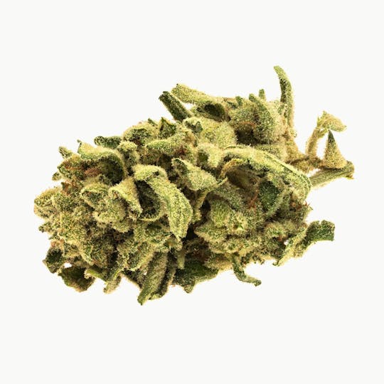 Good Supply - Monkey Glue - 1