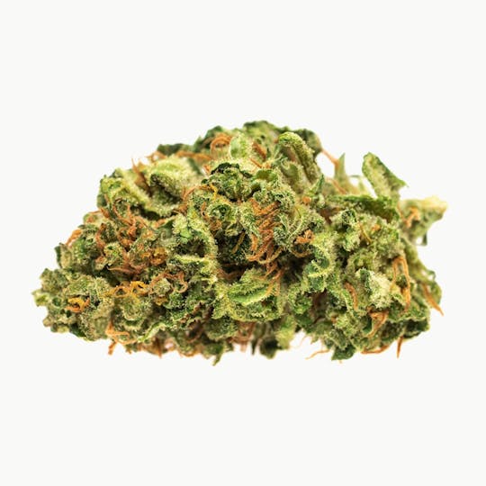 Good Supply - Jean Guy - 1