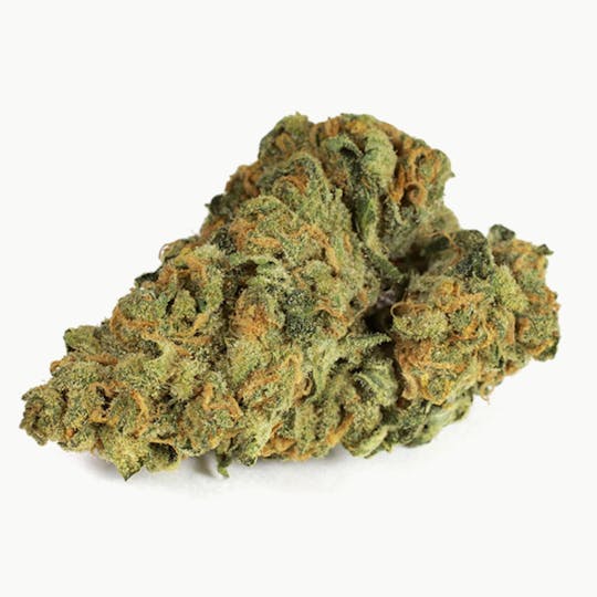 JWC - Select Indica - 1