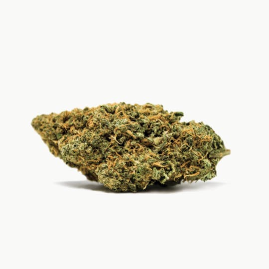 Spinach - White Widow - 1