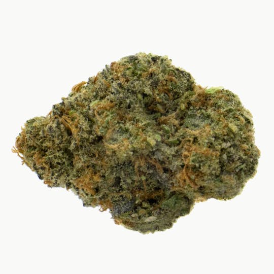 JWC - Dark Helmet - 1