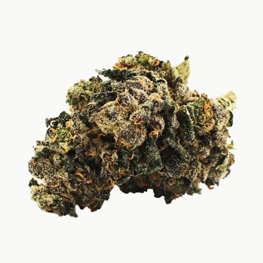 Citizen Stash - Sunset Sherbet - 1