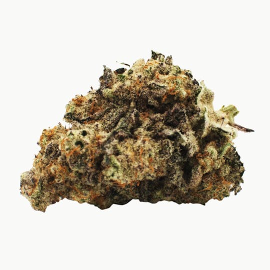 Citizen Stash - MAC 1 - 1