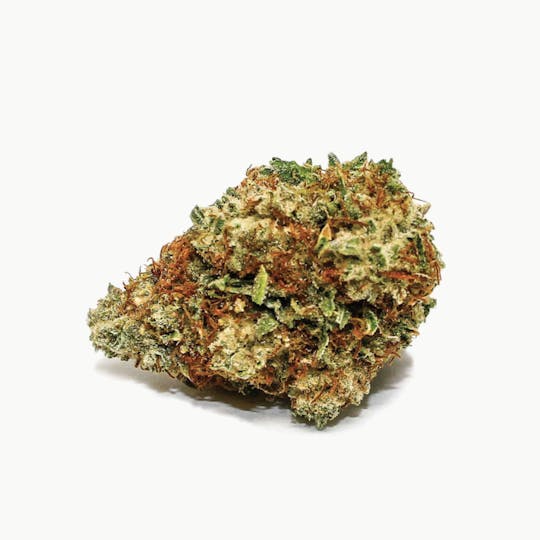 Spinach - Sensi Star - 1