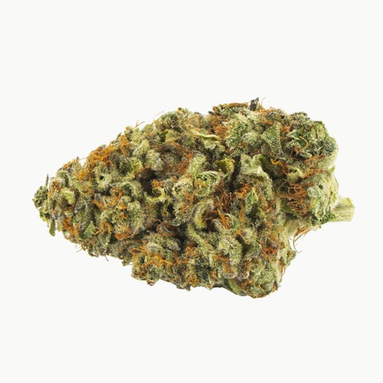Palmetto Cannabis - Headband - 1
