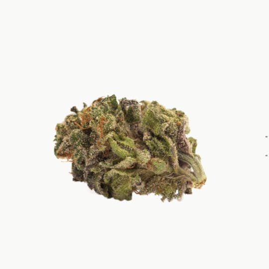 Twd. - Sativa - 1