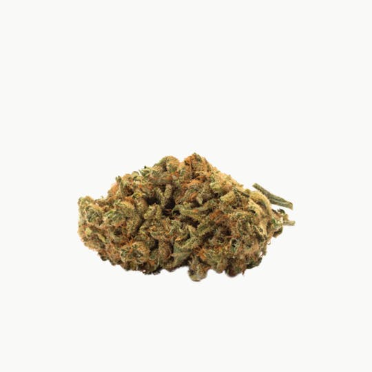 Twd. - Indica - 1