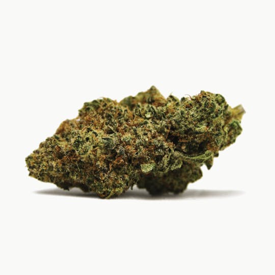 Spinach - Dancehall - 1