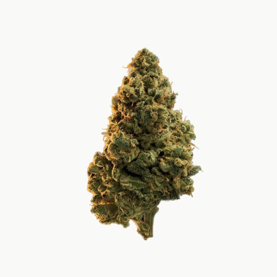 Edison Cannabis Co - Lola Montes Reserve - 1