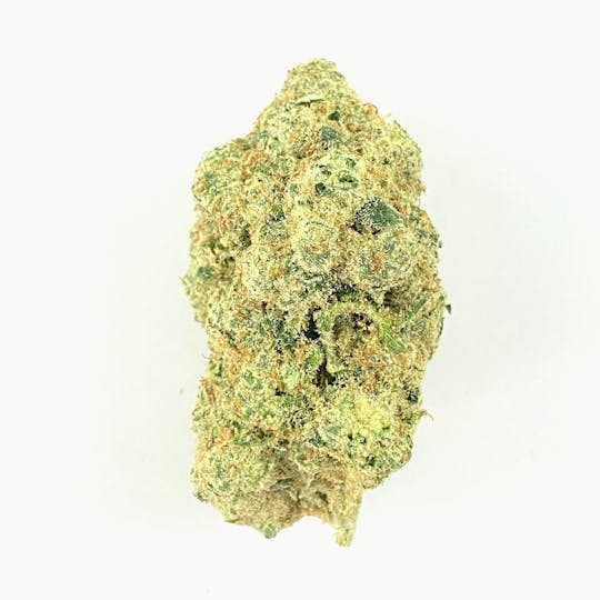 Indico - Banana MAC - 1