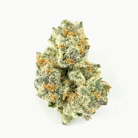 Indico - Banana Punch - 1