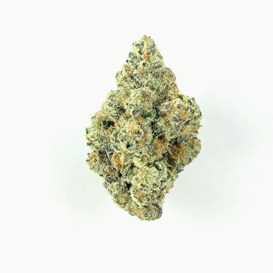 Indico - Bad Betty - 1