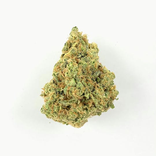 Indico - Swamp Donkey - 1