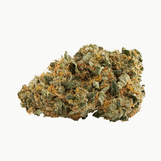 TOPLEAF - Bubba - 1