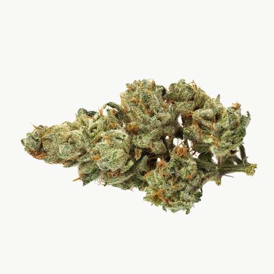 TOPLEAF - Oregon Golden Goat - 1
