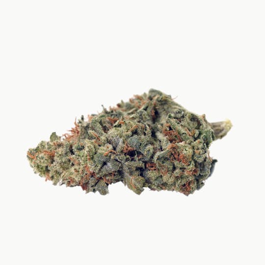 High Tide - Dark Star - 1