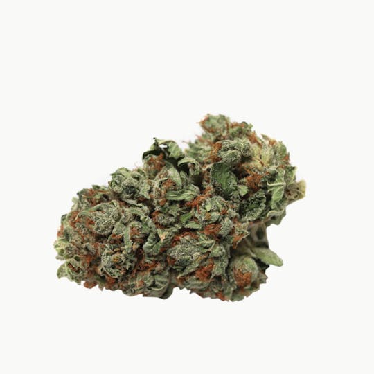 High Tide - Headband - 1