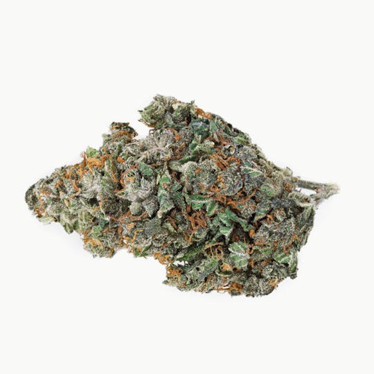 The Organic Green Dutchman - Organic Skunk Haze - 1