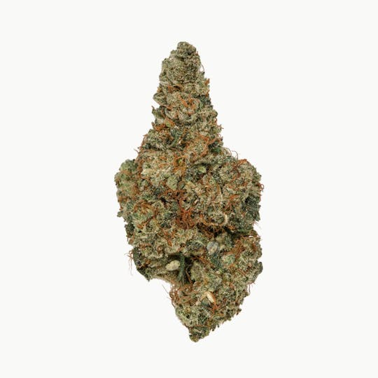 The Organic Green Dutchman - Unite Organic - 1